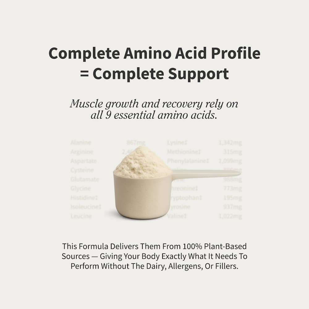 Plant Protein with Nitric Oxide Booster - Chocolate
