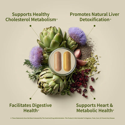 Cholesterol + Liver Health
