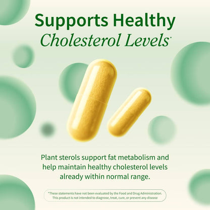 Cholesterol Health