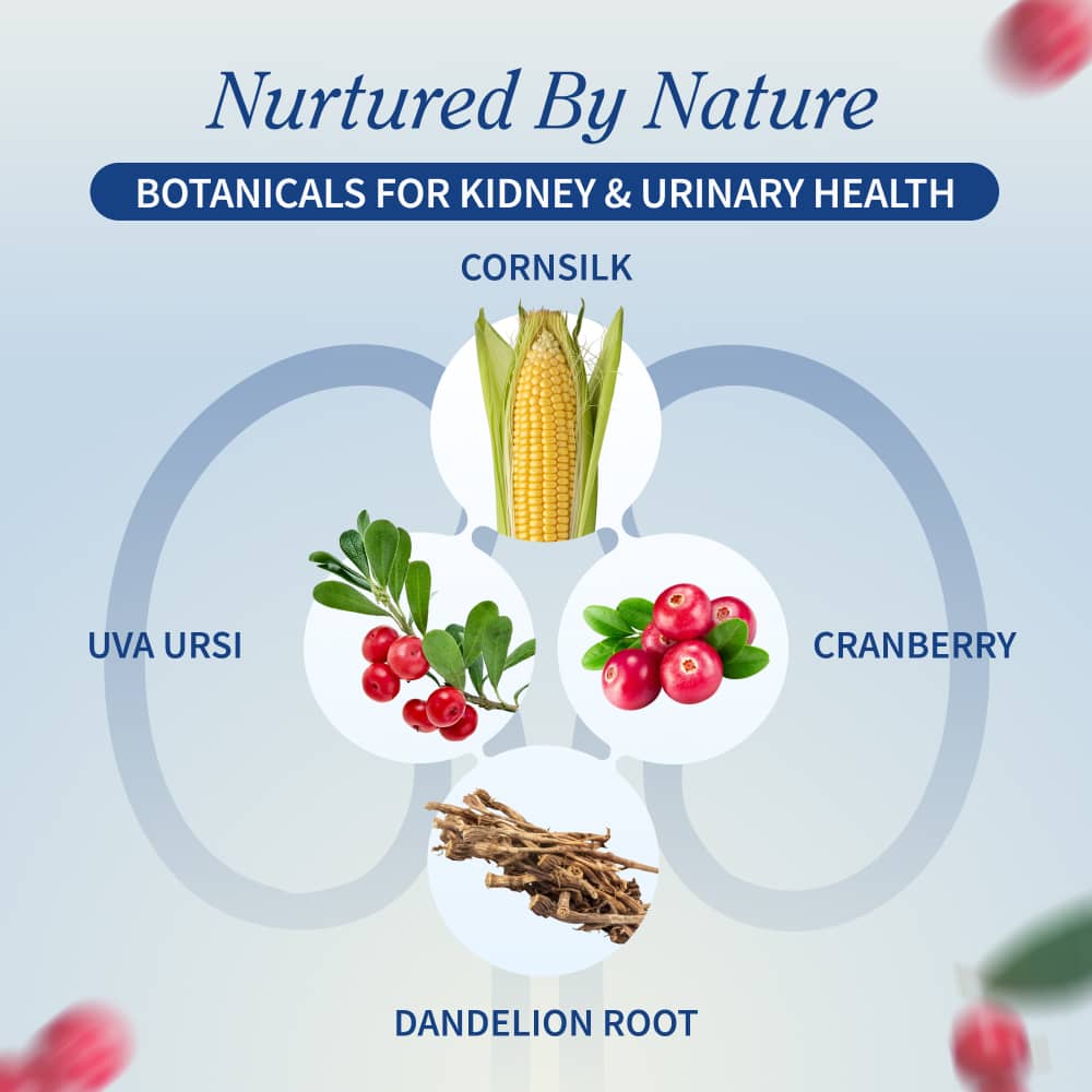 Kidney Health - Buy 3, Get 2 FREE!