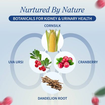 Kidney Health - Buy 3, Get 2 FREE!