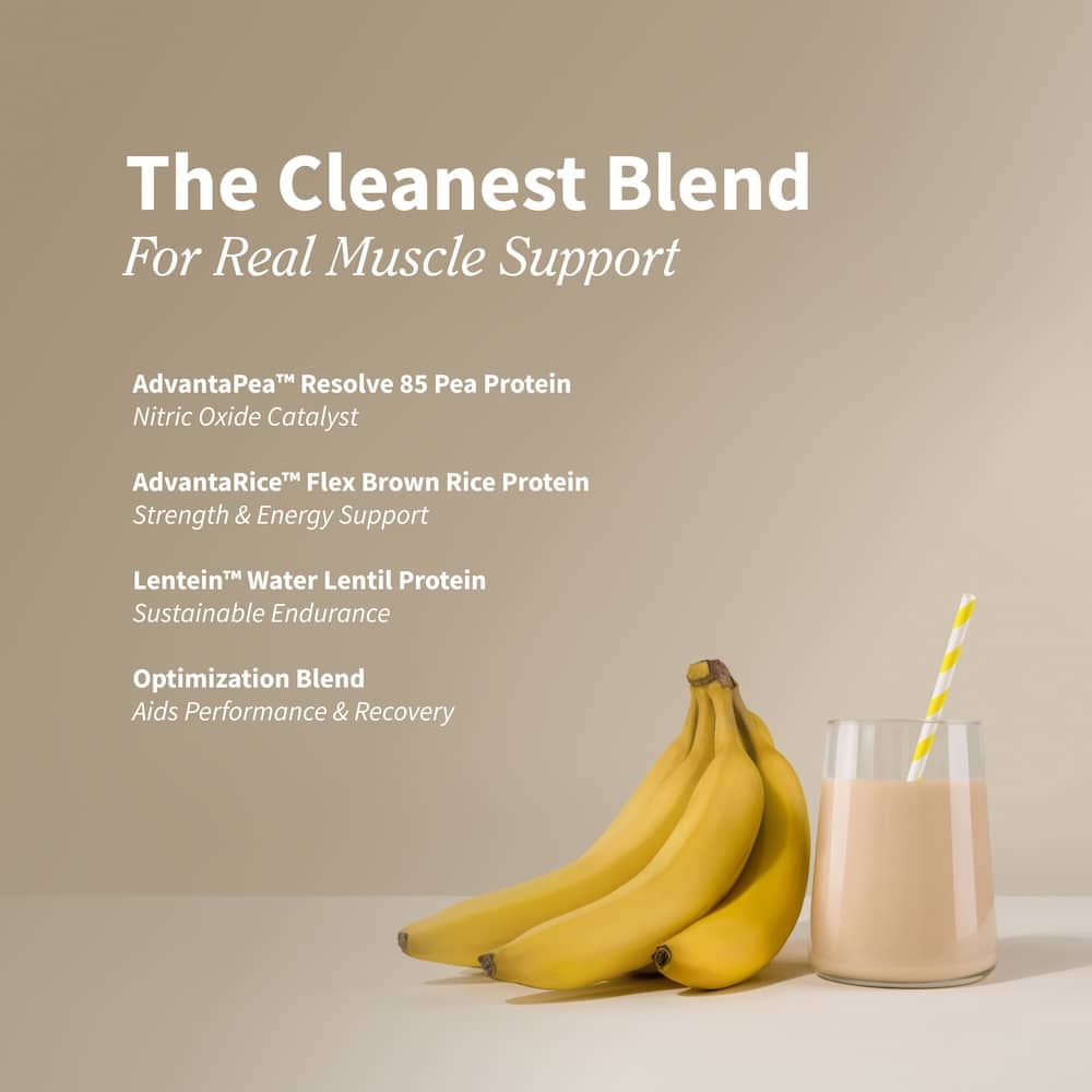 Plant Protein with Nitric Oxide Booster - Banana
