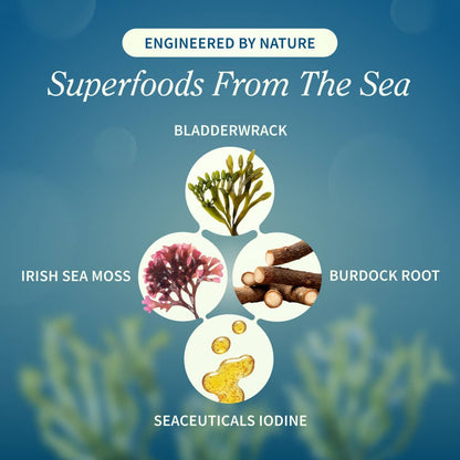 Irish Sea Moss w/ Iodine Energy Support - Buy 2, Get 1 FREE!