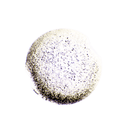 TESTING - Beets