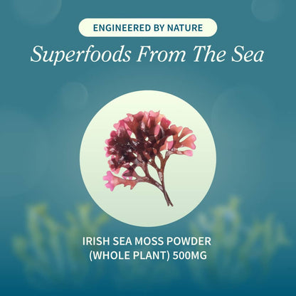 Irish Sea Moss Chews